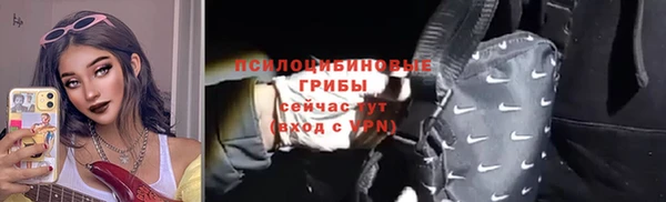амф Алексин