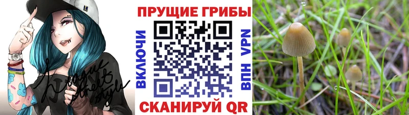 Галлюциногенные грибы мухоморы  как найти наркотики  Полевской 