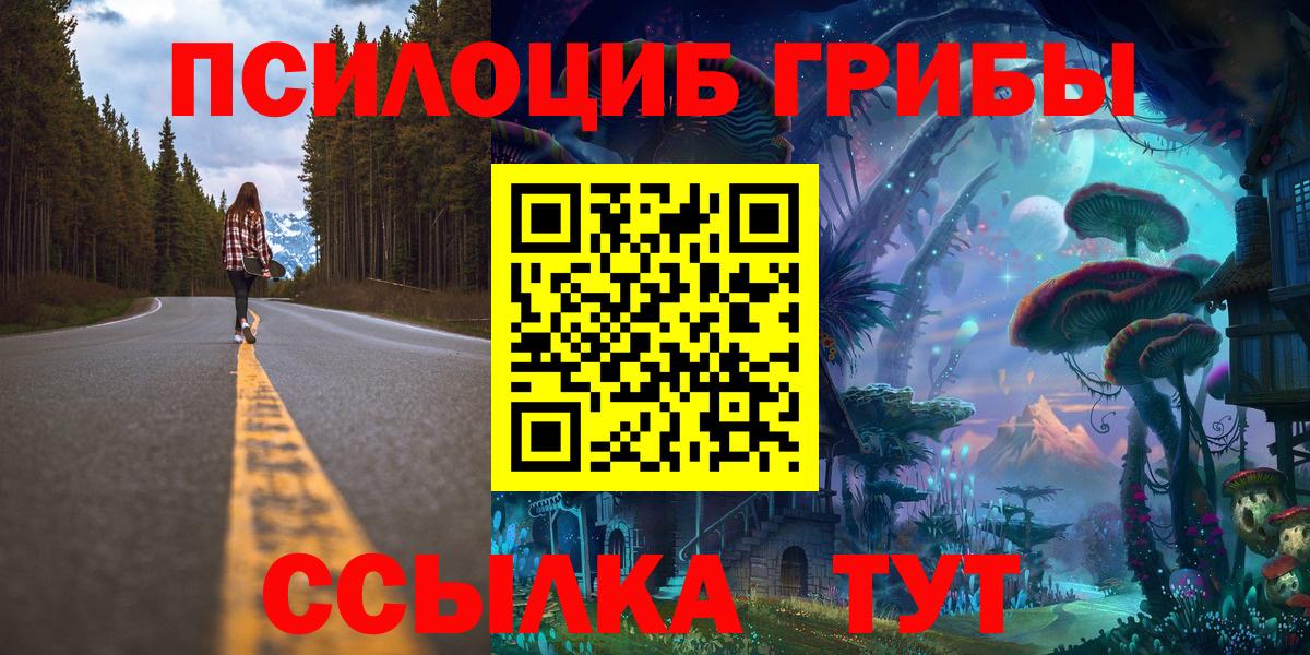 Псилоцибиновые грибы мицелий Полевской