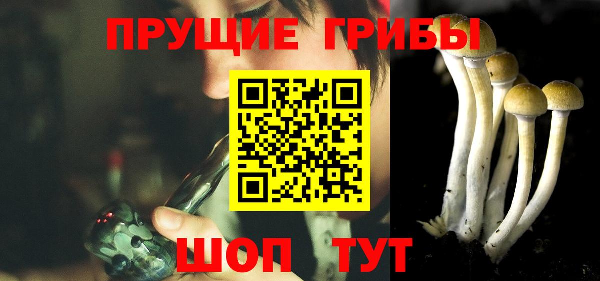 Полевской  Галлюциногенные грибы прущие грибы  Вход с VPN 